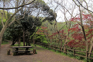 子ども自然ふれあいの森