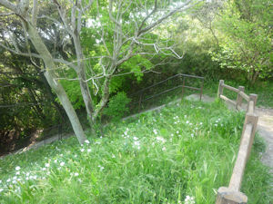 子ども自然ふれあいの森