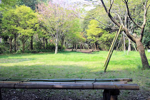 ラジオ体操広場