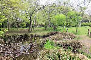 子ども自然ふれあいの森