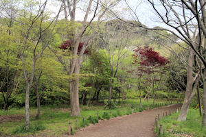 子ども自然ふれあいの森