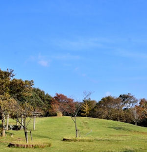 子ども自然ふれあいの森(芝生広場)